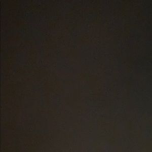 Meet your Posher, Daisy